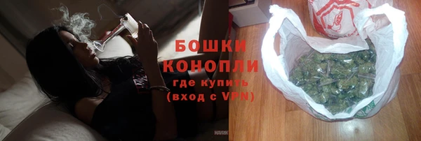 гашик Белокуриха