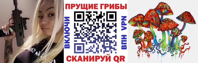 даркнет сайт  Колпашево  Галлюциногенные грибы мицелий 